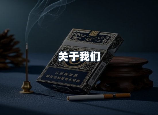 专业团队